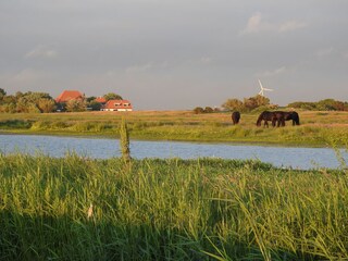 Casa per le vacanze Callantsoog Ambiente 21