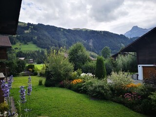 Garten vom Chalet Pirol