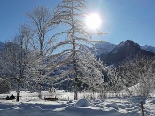 Winterwanderweg um Lenker Seeli