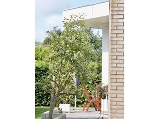 Vakantieappartement De Koog Buitenaudio-opname 3