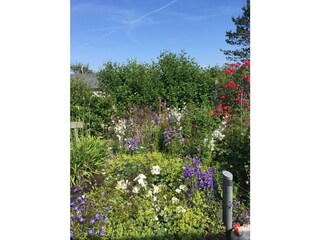 Vakantieappartement De Koog Buitenaudio-opname 4