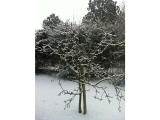 Appartamento per vacanze De Koog Registrazione all'aperto 6