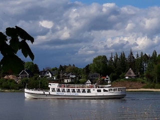 Ausflugschiff Wappen von Schleswig