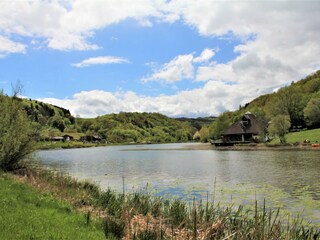 Holiday apartment Burgbrohl Environment 40