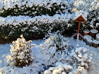 Garten im Winter