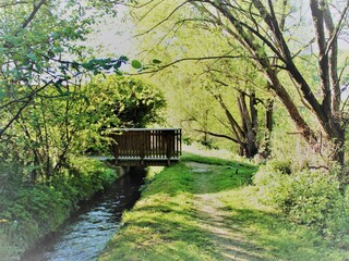 Holiday apartment Burgbrohl Environment 25