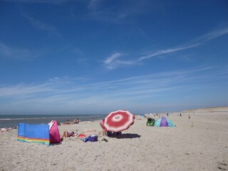 Vakantieappartement Petten  25