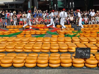 Appartamento per vacanze Petten Ambiente 37