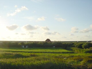 Vakantieappartement Petten  32