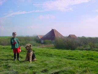 Appartamento per vacanze Petten Registrazione all'aperto 12