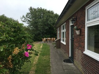 Appartamento per vacanze Petten Registrazione all'aperto 3