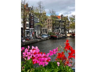 Appartamento per vacanze Petten Ambiente 38