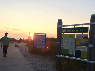 Appartamento per vacanze Petten Ambiente 40