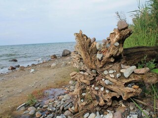 Appartamento Wohlenberg Ambiente 22