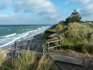 Vakantiehuis Dranske Omgeving 36