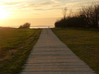 Maison de vacances Dranske Environnement 33