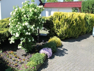 Apartment Rerik Außenaufnahme 6