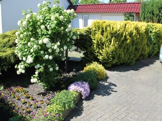 Appartement Rerik Enregistrement extérieur 8