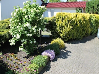 Apartment Rerik Outdoor Recording 8
