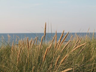 Apartment Zingst Umgebung 29