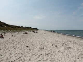 Appartement Zingst Environnement 25