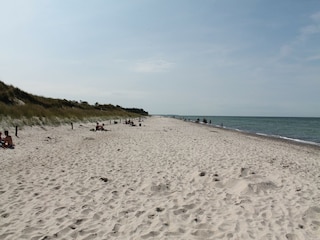 Apartment Zingst Umgebung 32