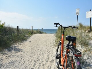 Appartement Zingst Environnement 22
