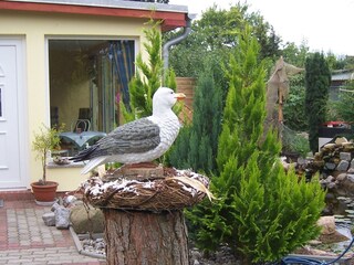 Apartment Rerik Außenaufnahme 12