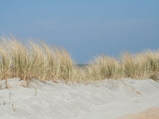 Appartement Rerik Environnement 27