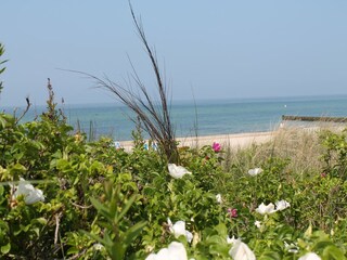 Appartement Rerik Environnement 21