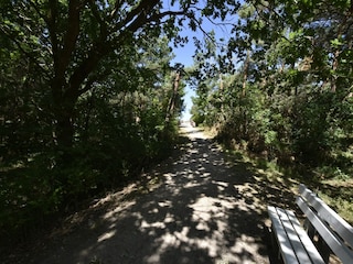 Apartment Zingst Umgebung 32