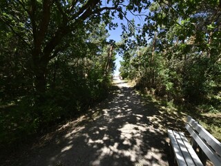 Appartement Zingst Environnement 32