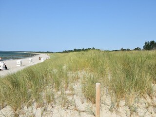 Apartment Zingst Environment 28