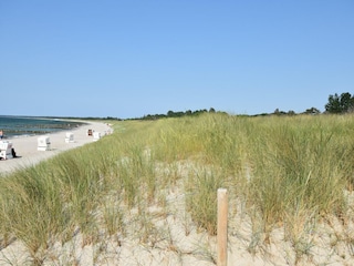 Appartement Zingst Environnement 35