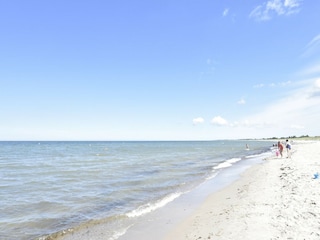 Appartement Zingst Environnement 16