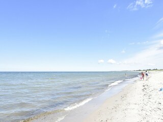 Appartement Zingst Environnement 18