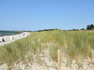 Appartement Zingst Environnement 21