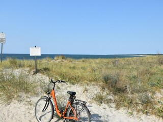 Appartement Zingst Environnement 22