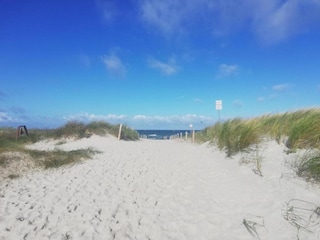 Appartement Zingst Environnement 37