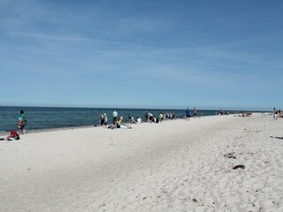 Appartement Zingst Environnement 19