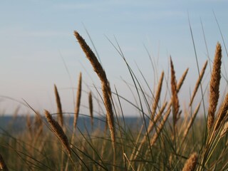 Appartamento Zingst Ambiente 37