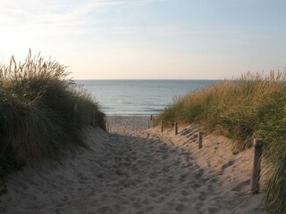 Appartement Zingst Environnement 17