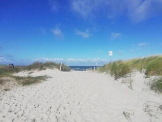 Appartement Zingst Omgeving 30