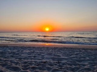 Apartment Rerik Environment 18