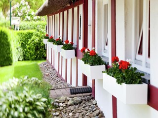 Apartamento Wohlenberg Grabación al aire libre 6