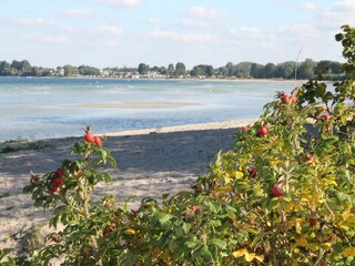 Appartement Wohlenberg Omgeving 22