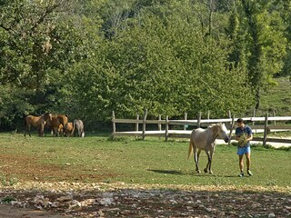 horseback riding near