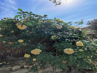 Villa Rochefort-du-Gard Entorno 32