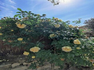 Villa Rochefort-du-Gard Entorno 35