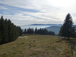 Casa per le vacanze Soultzeren Ambiente 19
